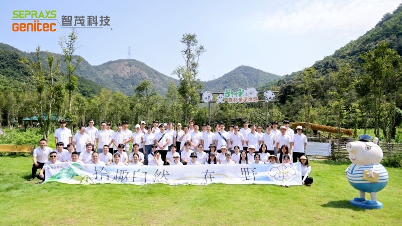 Seprays secret forest