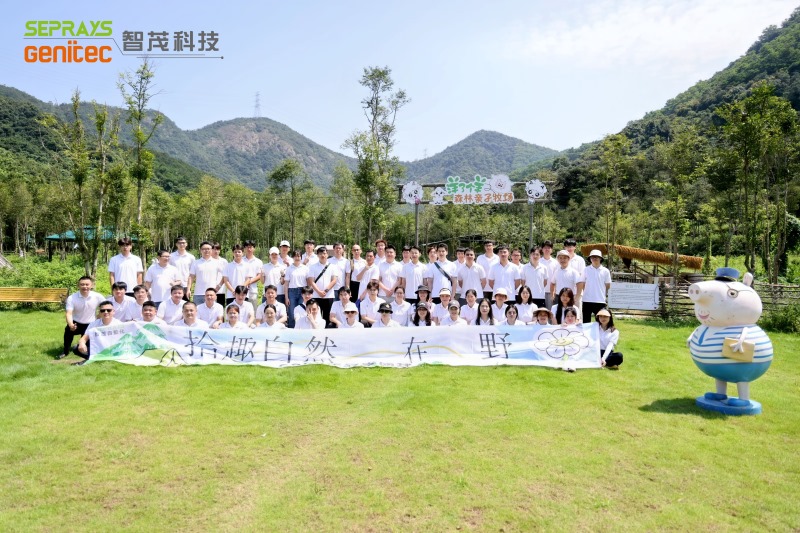 Seprays 2025 "Secret Forest" team-building day