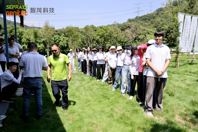 Seprays 2025 "Secret Forest" team-building day