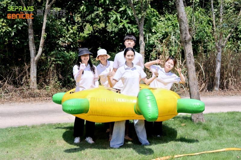 Seprays 2025 "Secret Forest" team-building day