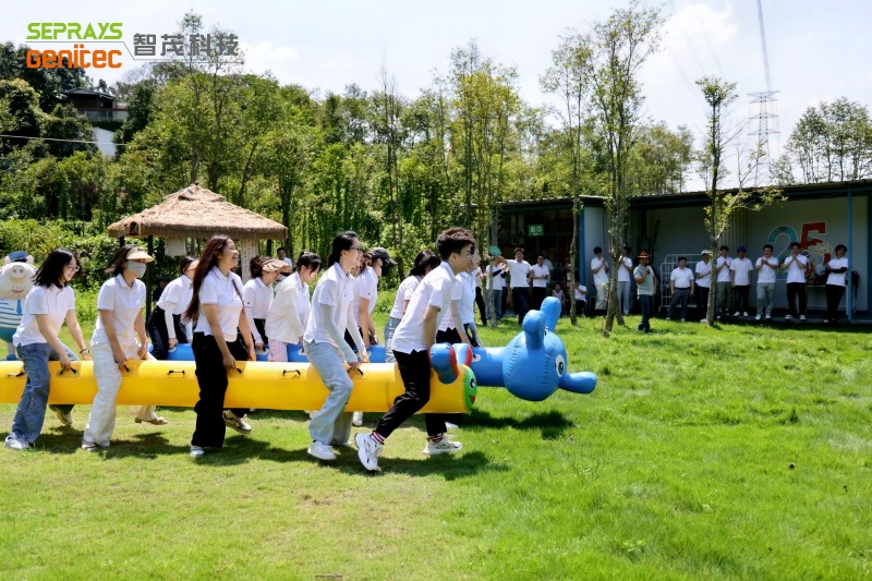 Seprays 2025 "Secret Forest" team-building day