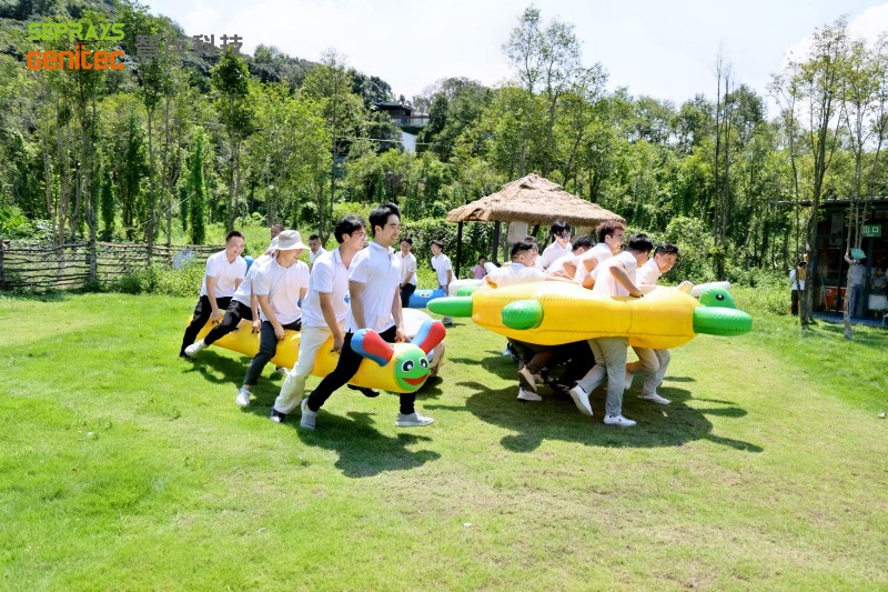 Seprays 2025 "Secret Forest" team-building day