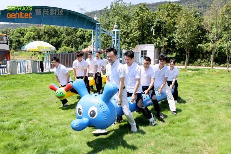 Seprays 2025 "Secret Forest" team-building day