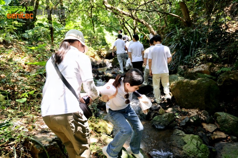 Seprays 2025 "Secret Forest" team-building day