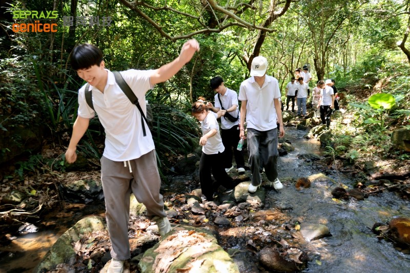 Seprays 2025 "Secret Forest" team-building day