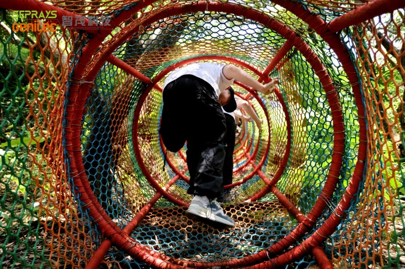 Seprays 2025 "Secret Forest" team-building day