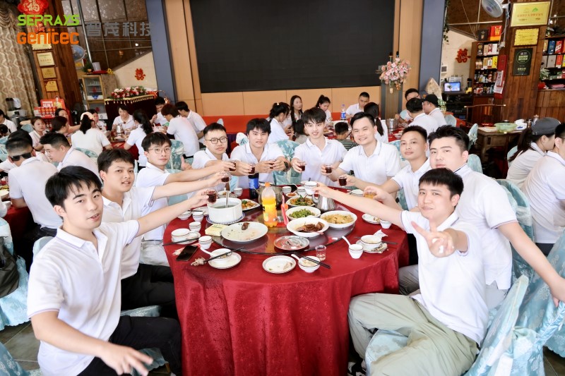 Seprays 2025 "Secret Forest" team-building day