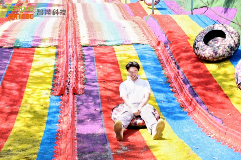 Seprays 2025 "Secret Forest" team-building day