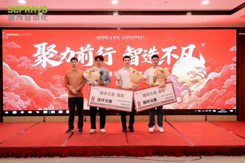 Service Star (Gold & Silver)