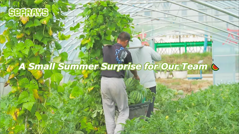 Seprays Shares a Summer Appreciation Gift with Every Employee